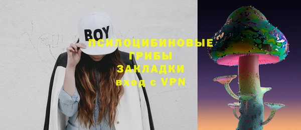 дмт Алексин