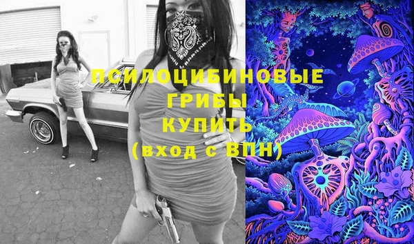 дмт Алексин