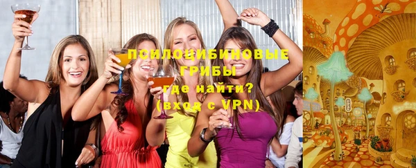 дмт Алексин