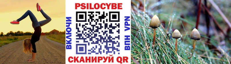 Купить где  Домодедово  Галлюциногенные грибы ЛСД 